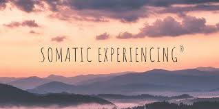 Somatic Experiencing Trauma Therapy Dublin 2