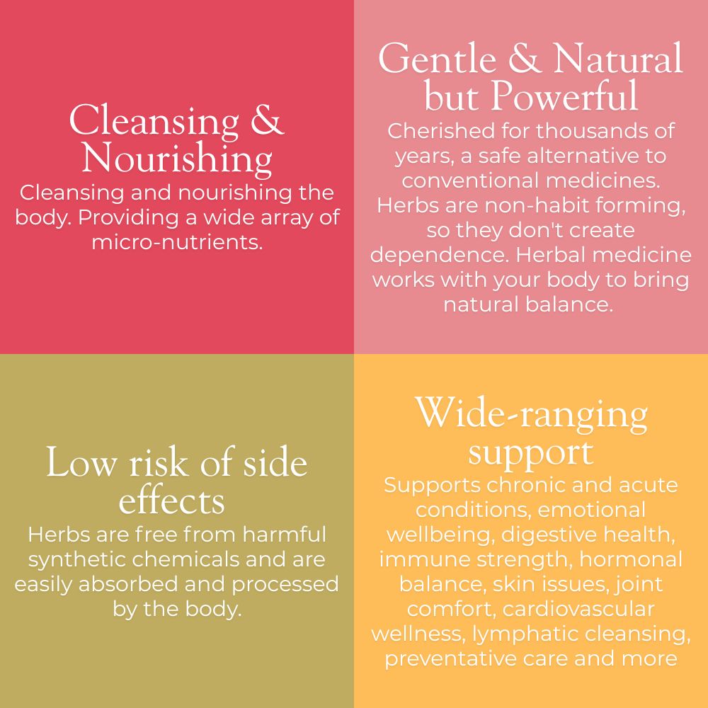 Herbal Medicine Benefits at The Dublin Wellbeing Centre Dublin 2